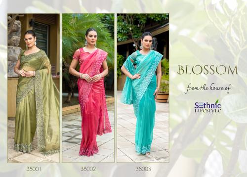 SETHNIC BLOSSOM 38001-38003 Price - 2400