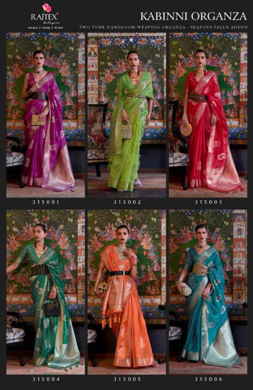 Rajtex Fabrics Kabinni Organza 315001-315006 Price - 10650