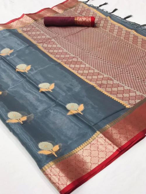 Raj Tex Kalon Organza 248001 Price - 1560