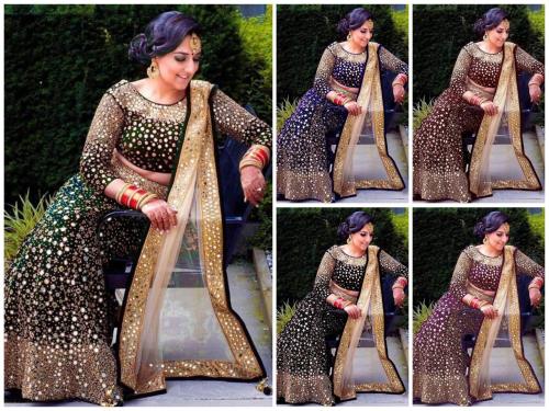Bollywood Designer Lehenga LG-312 Colors  Price - 6995