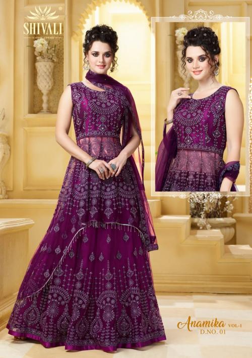Shivali Fashion Anamika Vol-1 01-05 Series 