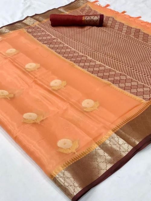 Raj Tex Kalon Organza 248002 Price - 1560