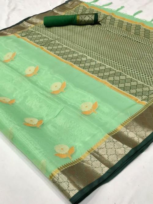 Raj Tex Kalon Organza 248003 Price - 1560